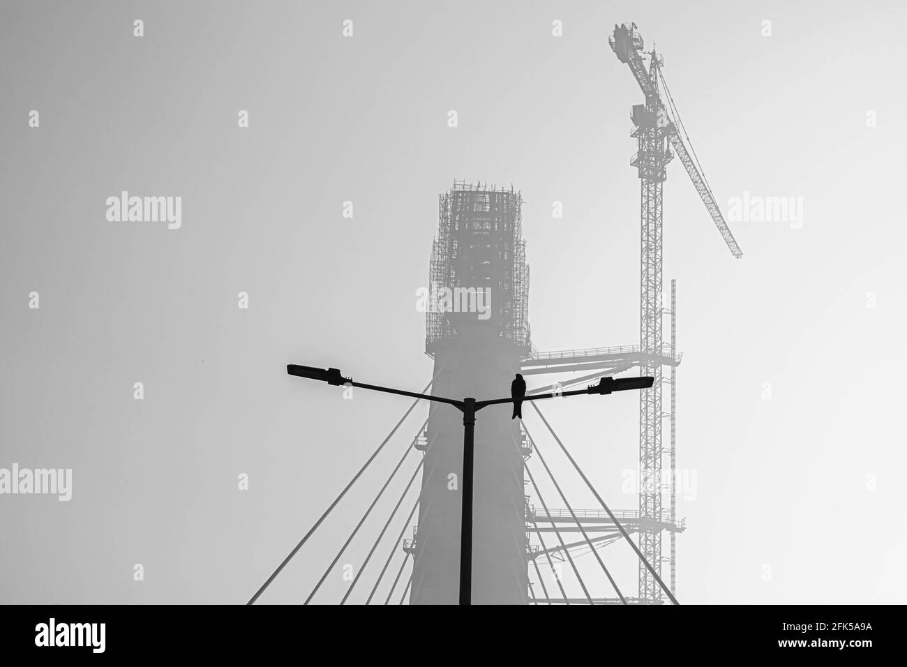 Schwarz-weißes Foto eines Vogels, der auf der Stange an der Signature Bridge in delhi sitzt. Stockfoto