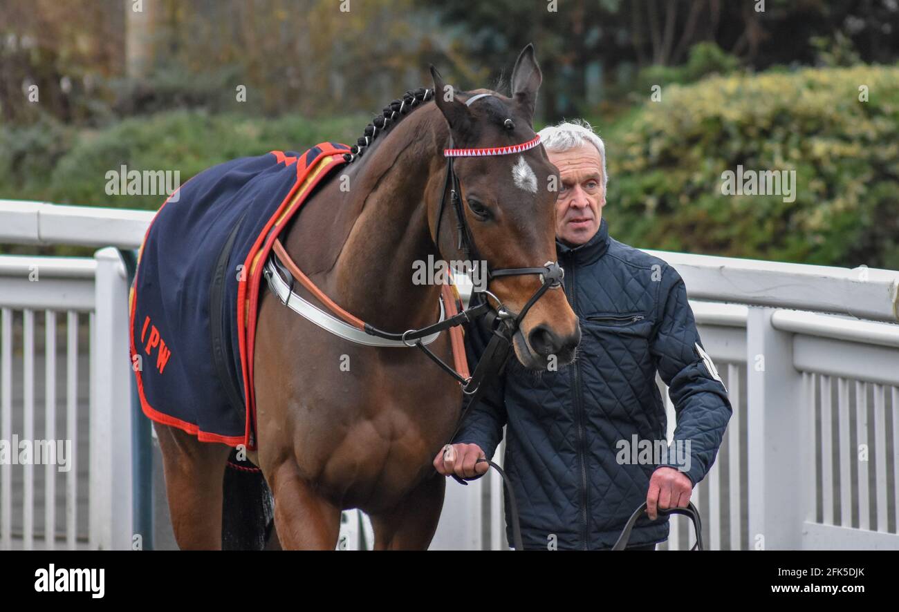 Wolverhampton Races, ein Tag beim Pferderennen Stockfoto