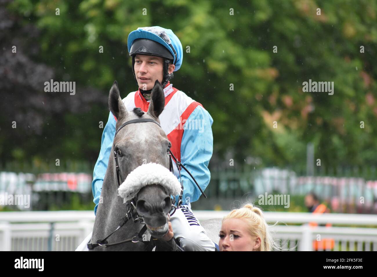 Wolverhampton Races, Wolves. Stockfoto