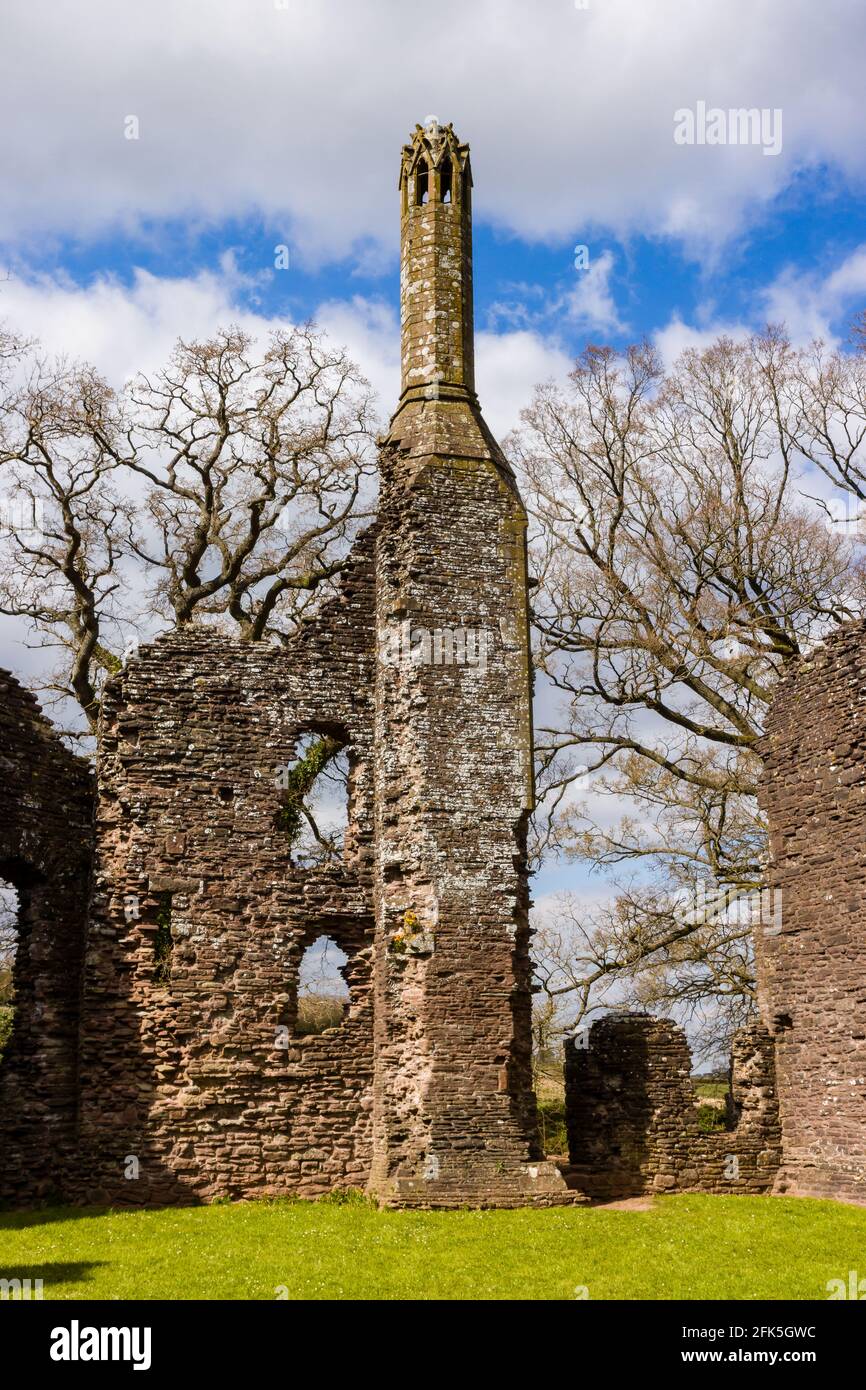 Mauern und Überreste einer mittelalterlichen Burg aus dem 12. Jahrhundert Wales (Grosmont Castle, Monmouthshire) Stockfoto