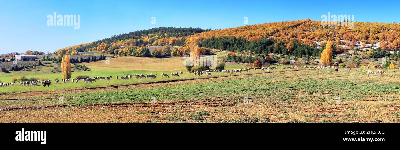 Mont Ventoux, Berg der Provence in Frankreich. Stockfoto