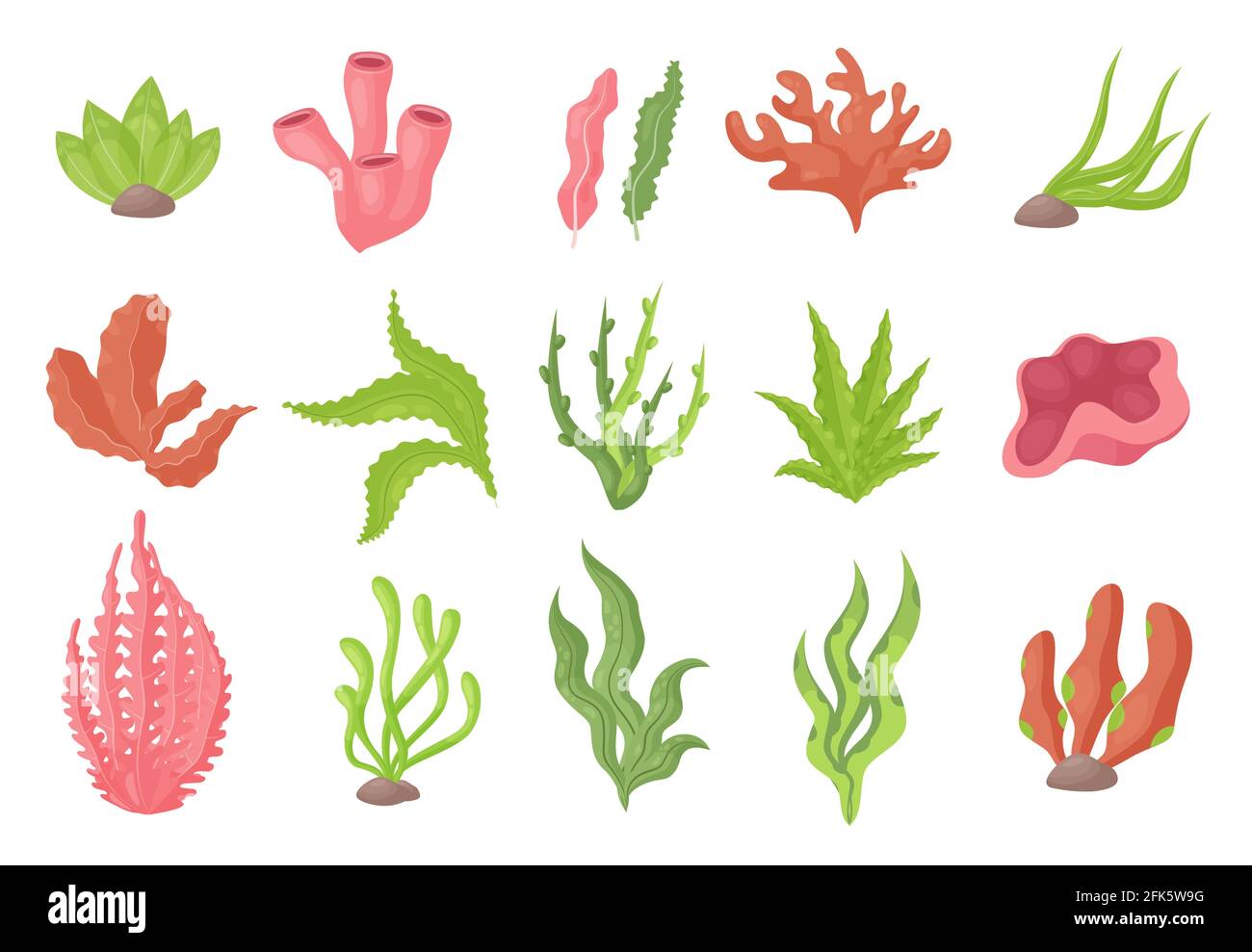 Seegras Unterwasserpflanzen aus dem Meeresboden oder Aquarium Set, Seetang oder Meeresalgen, Korallen Stock Vektor