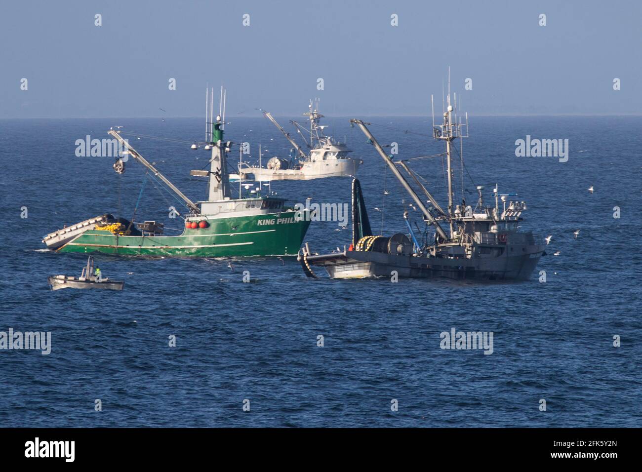 Kommerzielle Tintenfischflotte, Monterey Bay, Pazifischer Ozean, Frühling, Central Coast, Kalifornien Stockfoto