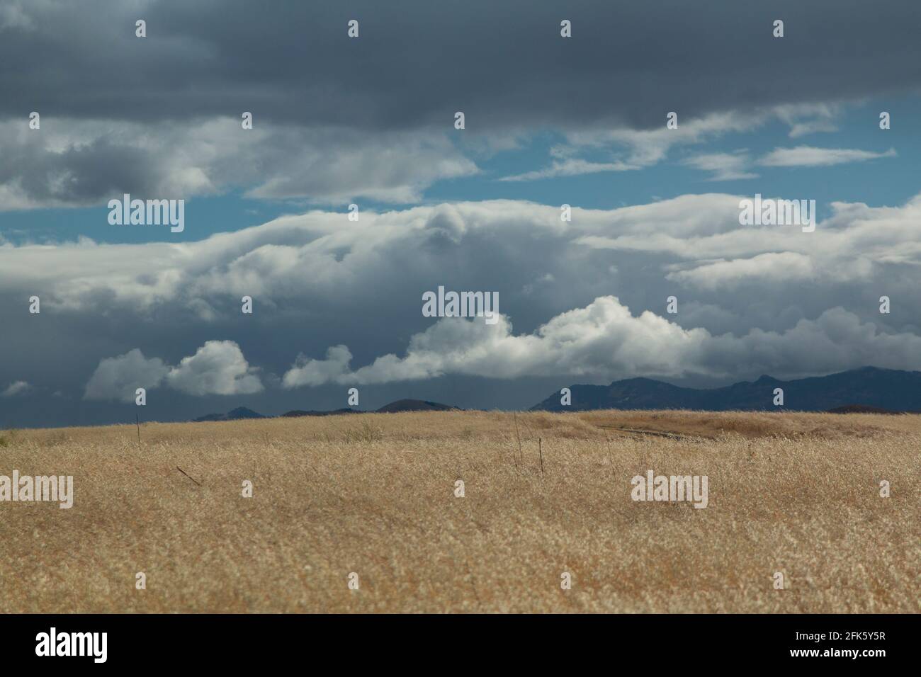 Winter Storm Clouds, Coast Range, Diablo Mountain Foothills, privates Land, San Joaquin Valley, Merced County, Kalifornien Stockfoto