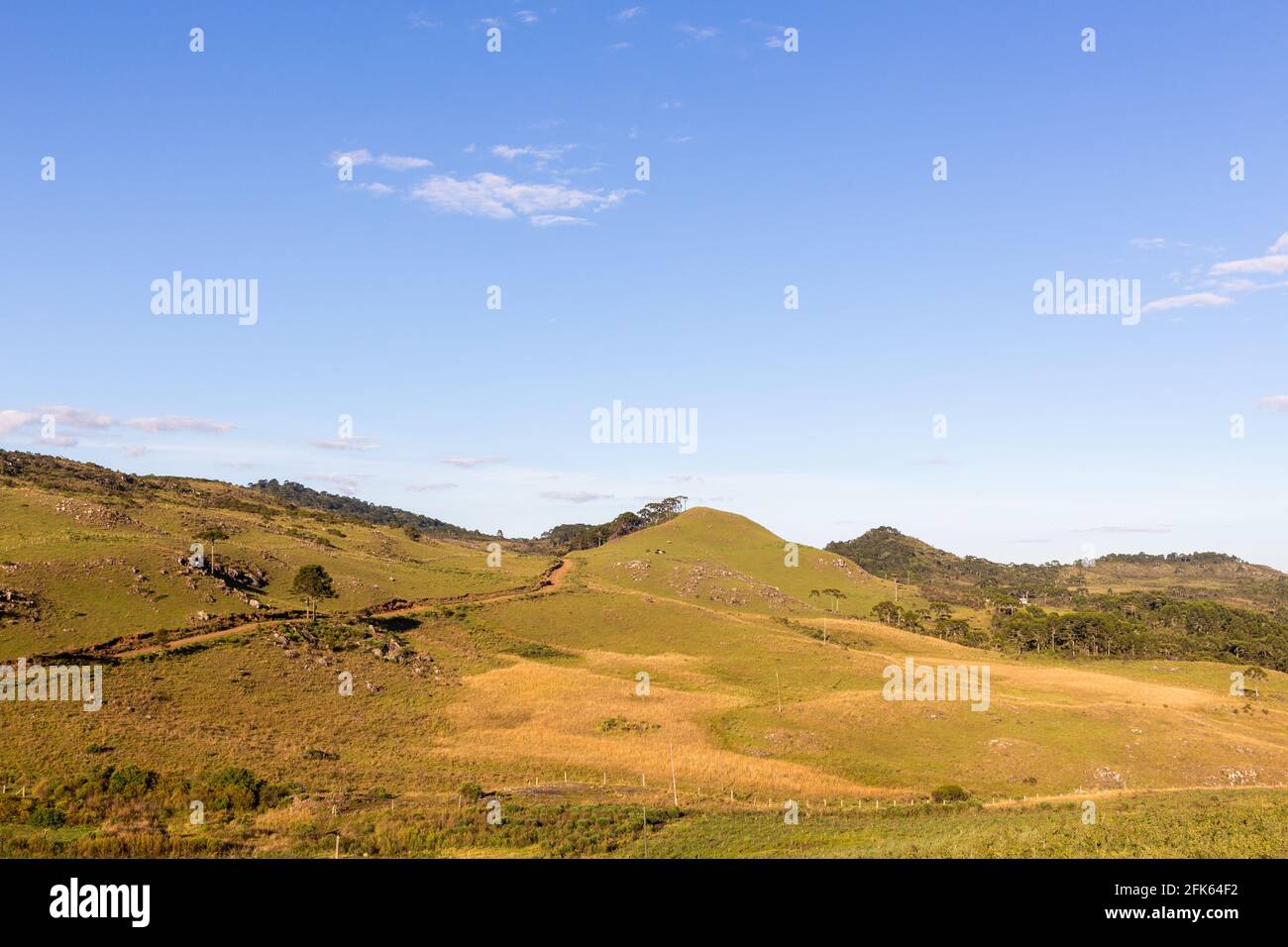 Felder auf dem Land im südlichen brasilianischen Hochland Stockfoto