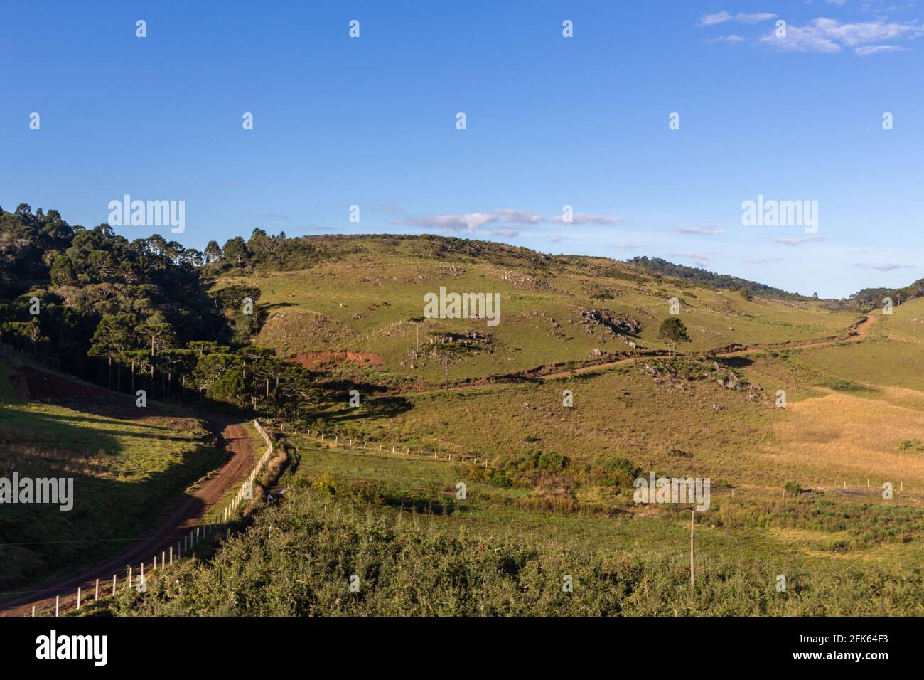 Felder auf dem Land im südlichen brasilianischen Hochland Stockfoto