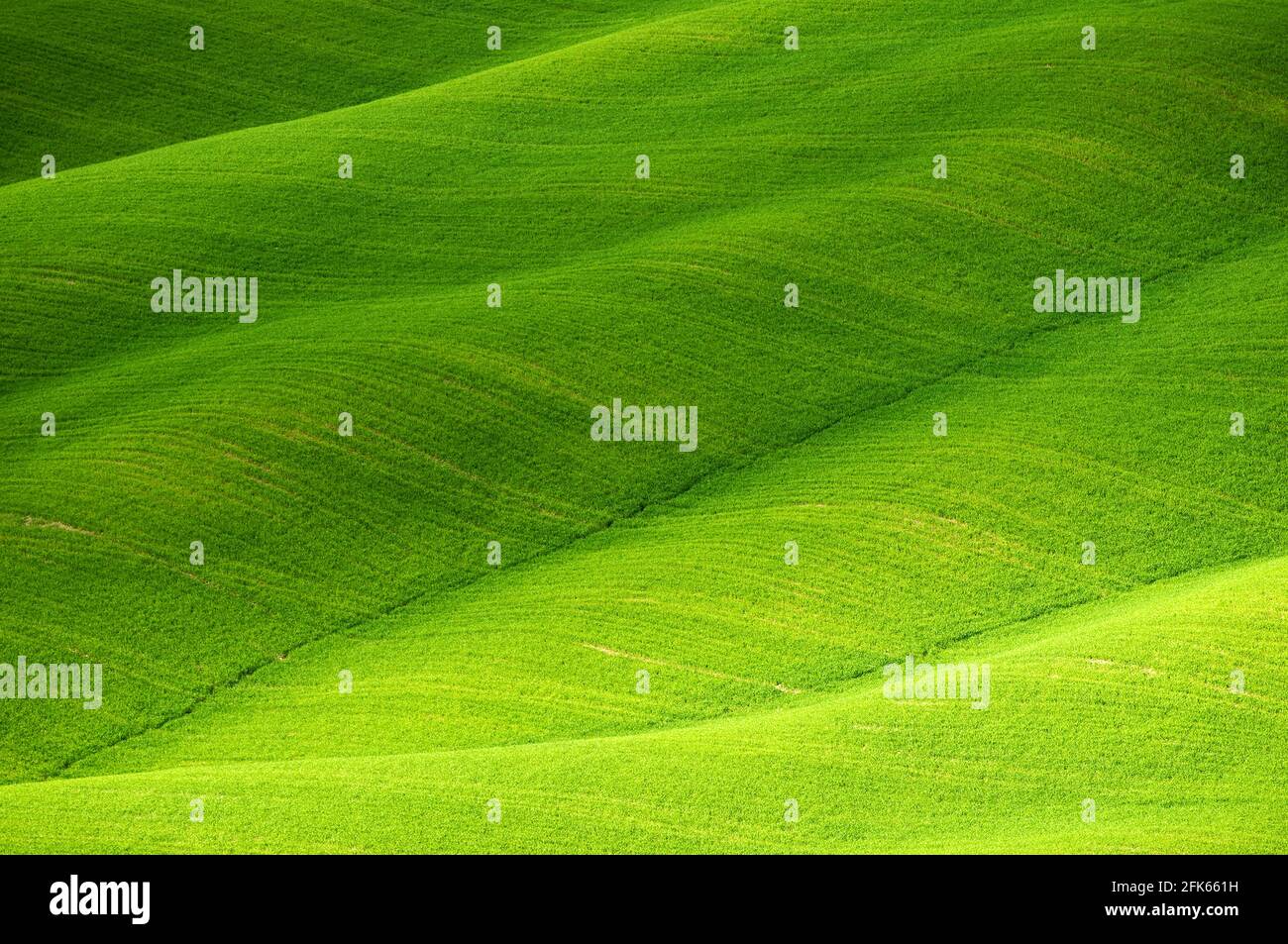 Hügellandschaft, Siena, Toskana, Italien Stockfoto