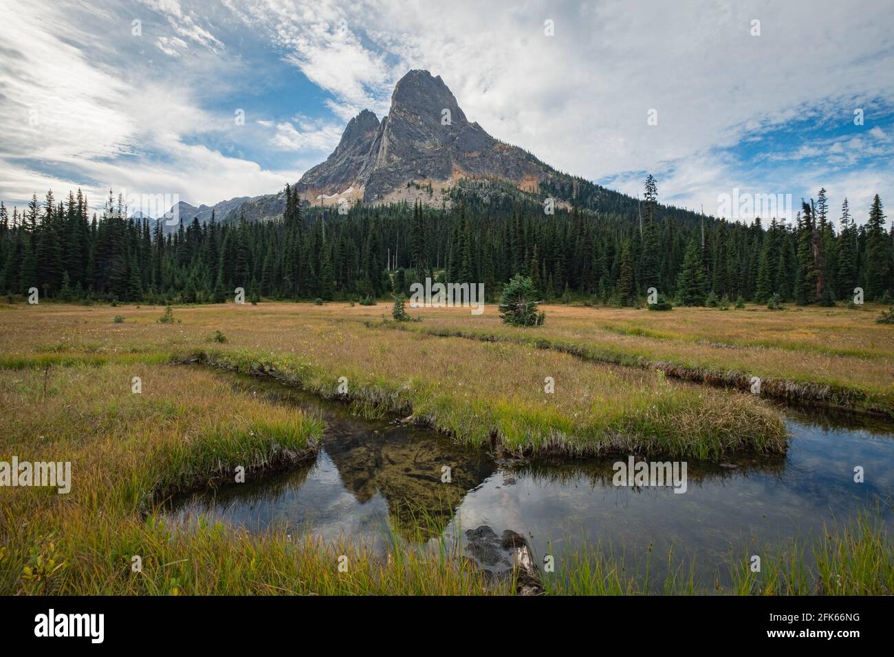 North Cascades National Park Washington USA Stockfoto