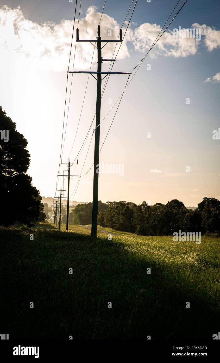 Strommasten, die entlang einer ländlichen Straße in Victoria, Australien, laufen Stockfoto