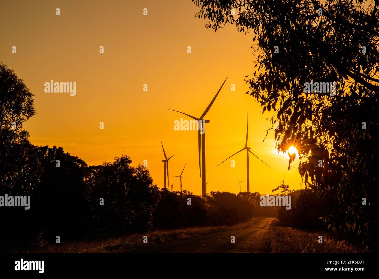 Windturbinen zur Stromerzeugung, Australien Stockfoto