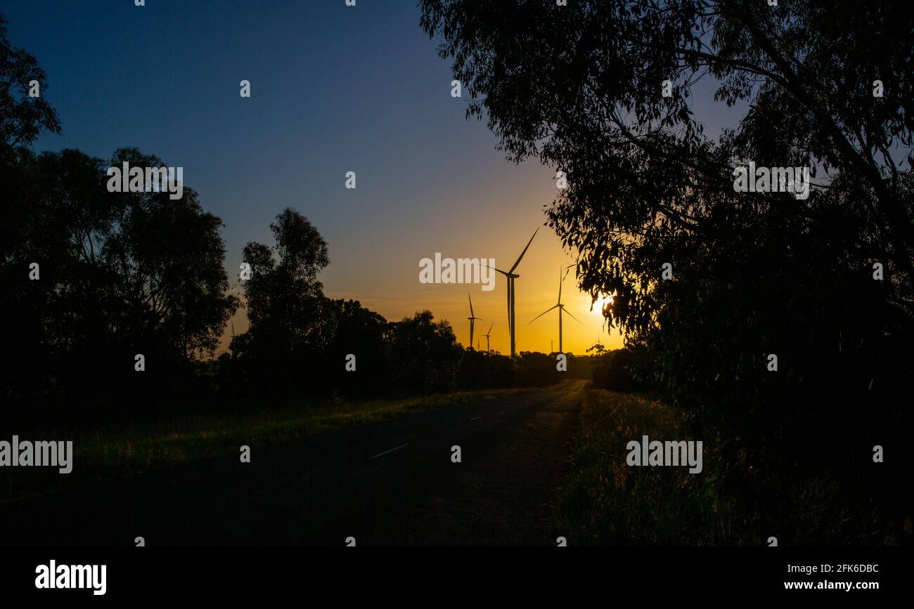 Windturbinen zur Stromerzeugung, Australien Stockfoto