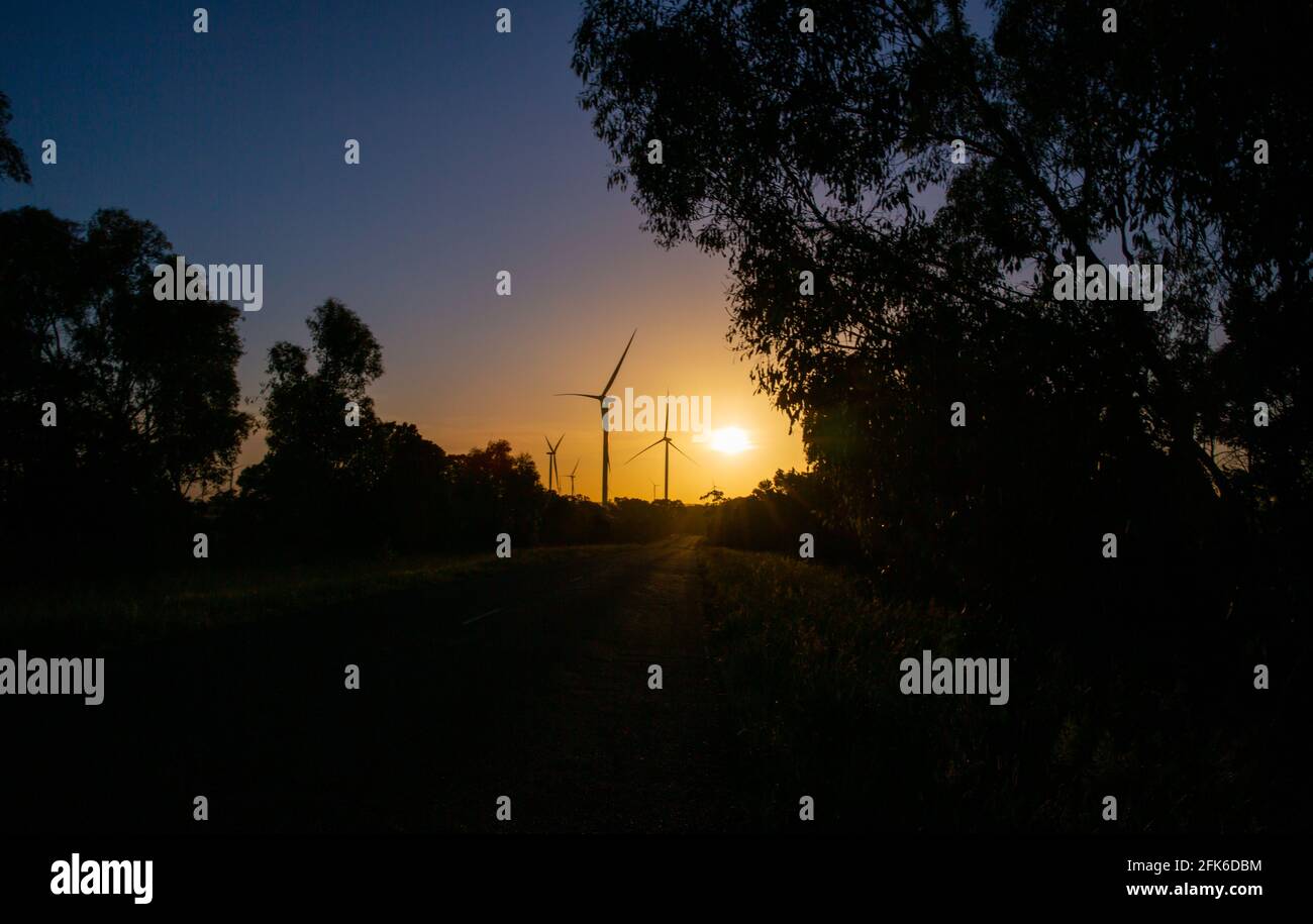 Windturbinen zur Stromerzeugung, Australien Stockfoto