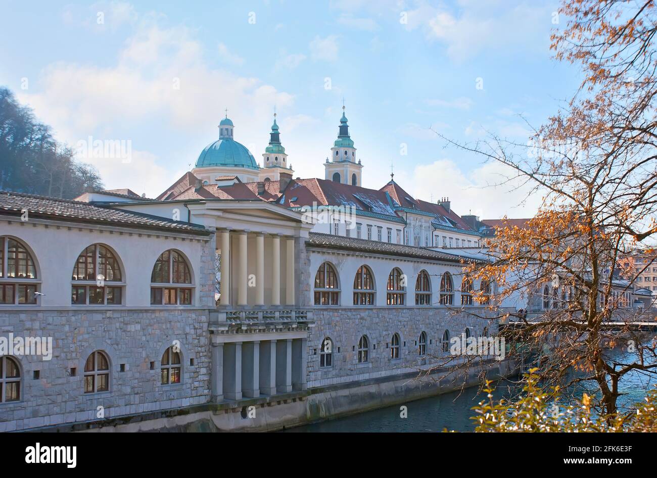 Historisches Gebäude des Hauptmarktes von Ljubljana, mit Blick auf den Fluss Ljubljanica und die St.-Nikolaus-Kathedrale im Hintergrund, Slowenien Stockfoto