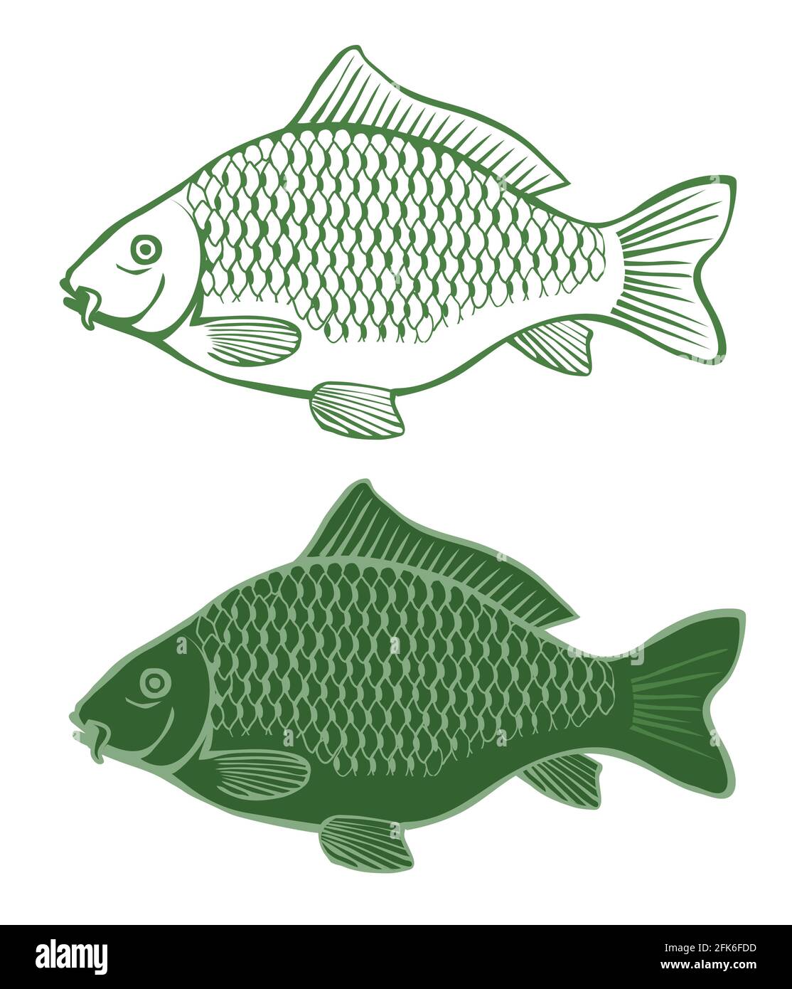 Karpfen, Fische. Zwei grüne stilisierte Illustrationen von Karpfen. Isoliert auf weißem Hintergrund. Vektor verfügbar. Stock Vektor