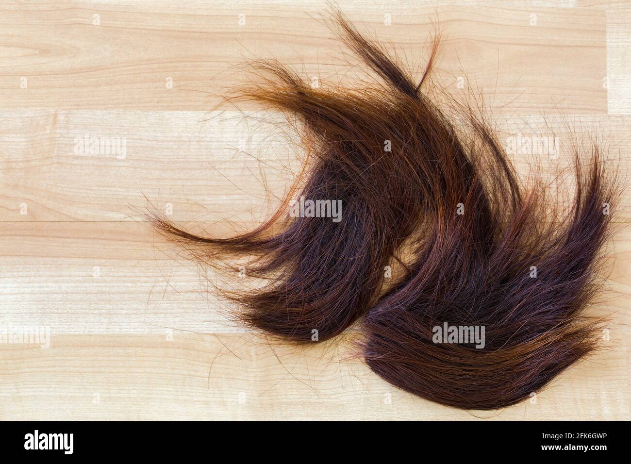 Ein Haufen getrimmter, rotbrauner Haare auf dem Holzboden im Friseursalon mit Copyspace Stockfoto