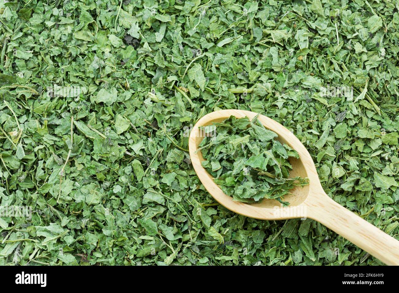 Nahaufnahme von grün getrockneten Brennnesselblättern auf Holzlöffel Zum Zubereiten von heißem Kräutertee Stockfoto