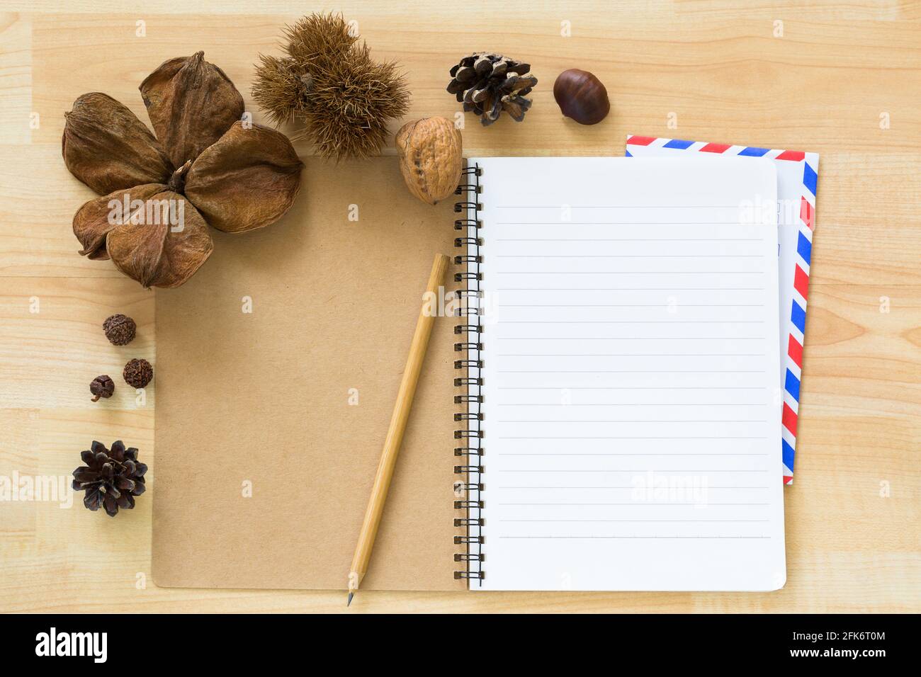 Draufsicht auf leeres Notizbuch mit Luftpost-Umschlag aus getrockneter Kiefer Cone Kastanie Nussbaum Abdeckung auf Holzhintergrund Stockfoto