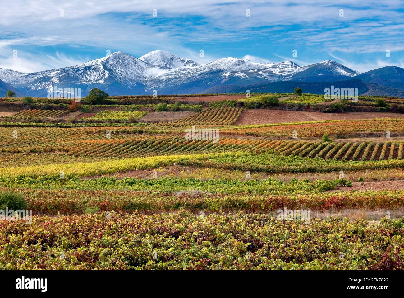 Weinberge mit dem Berg San Lorenzo im Hintergrund, La Rja, Spanien Stockfoto