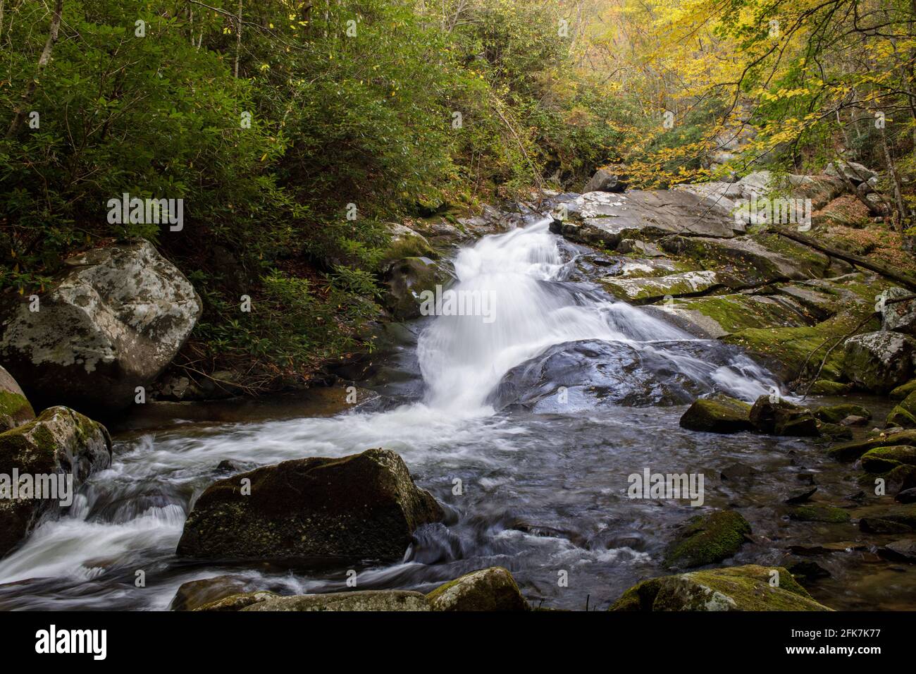 Herbstfarben, Great Smoky Mountain National Park. Herbstlaub entlang des Lynn Camp Prong in der Gegend von Tremont im Great Smoky Mountain National Park Stockfoto