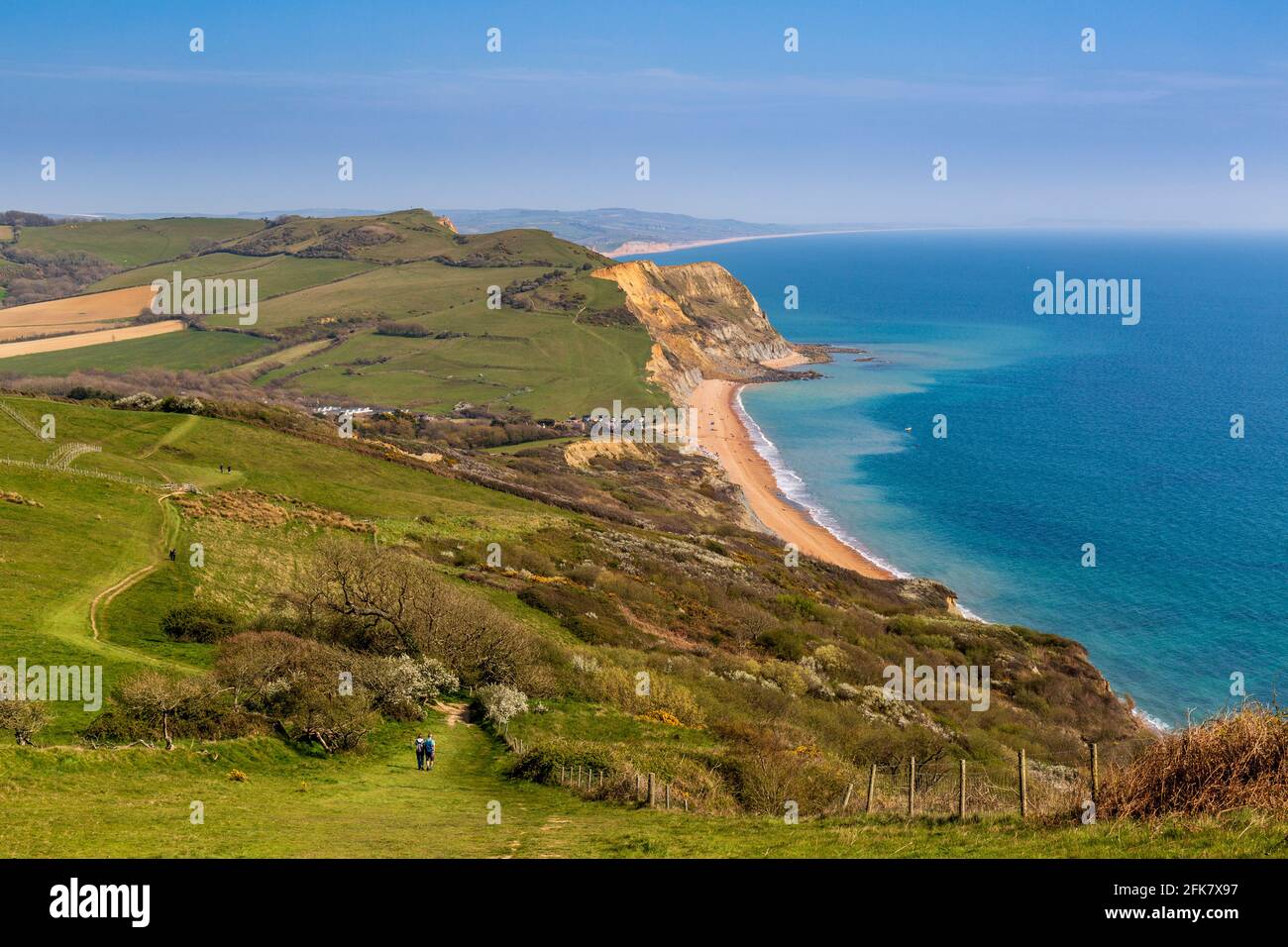 Seatown Beach und das Ridge Cliff Land fallen vom South West Coast Path auf Golden Cap, Dorset, England Stockfoto