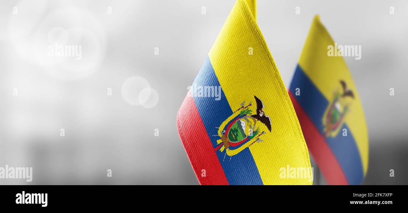Kleine Nationalflaggen der Ecuador auf einer leichten Unschärfe Hintergrund Stockfoto