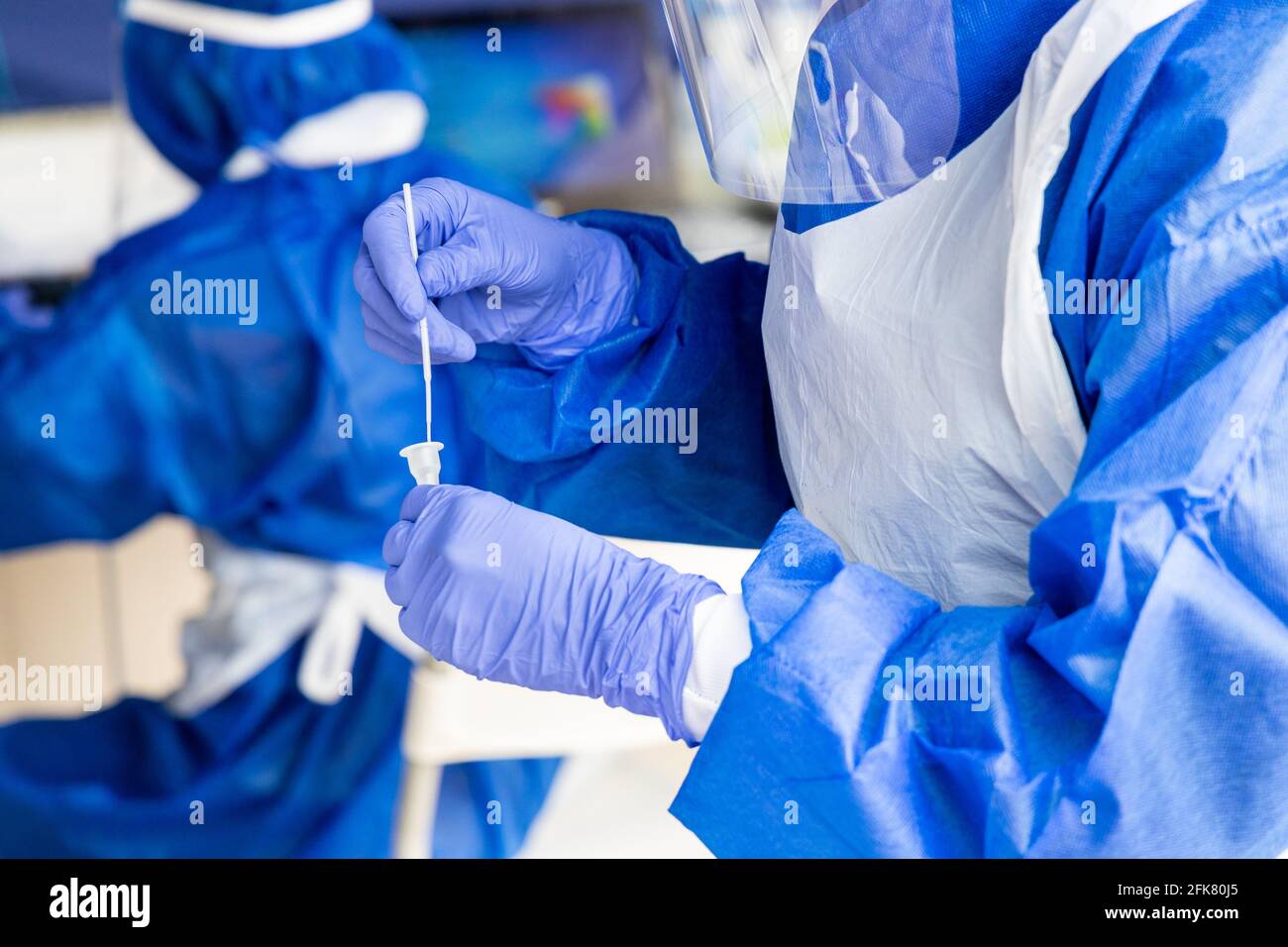 Mitarbeiter im Gesundheitswesen mischen kovidierten Tupfer, der vom Patienten in die Kultur genommen wurde Im Extraktionskit Stockfoto