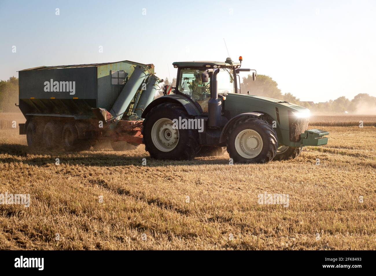 Traktor mit Getreidewagen auf einem bereits geernteten Feld Stockfoto