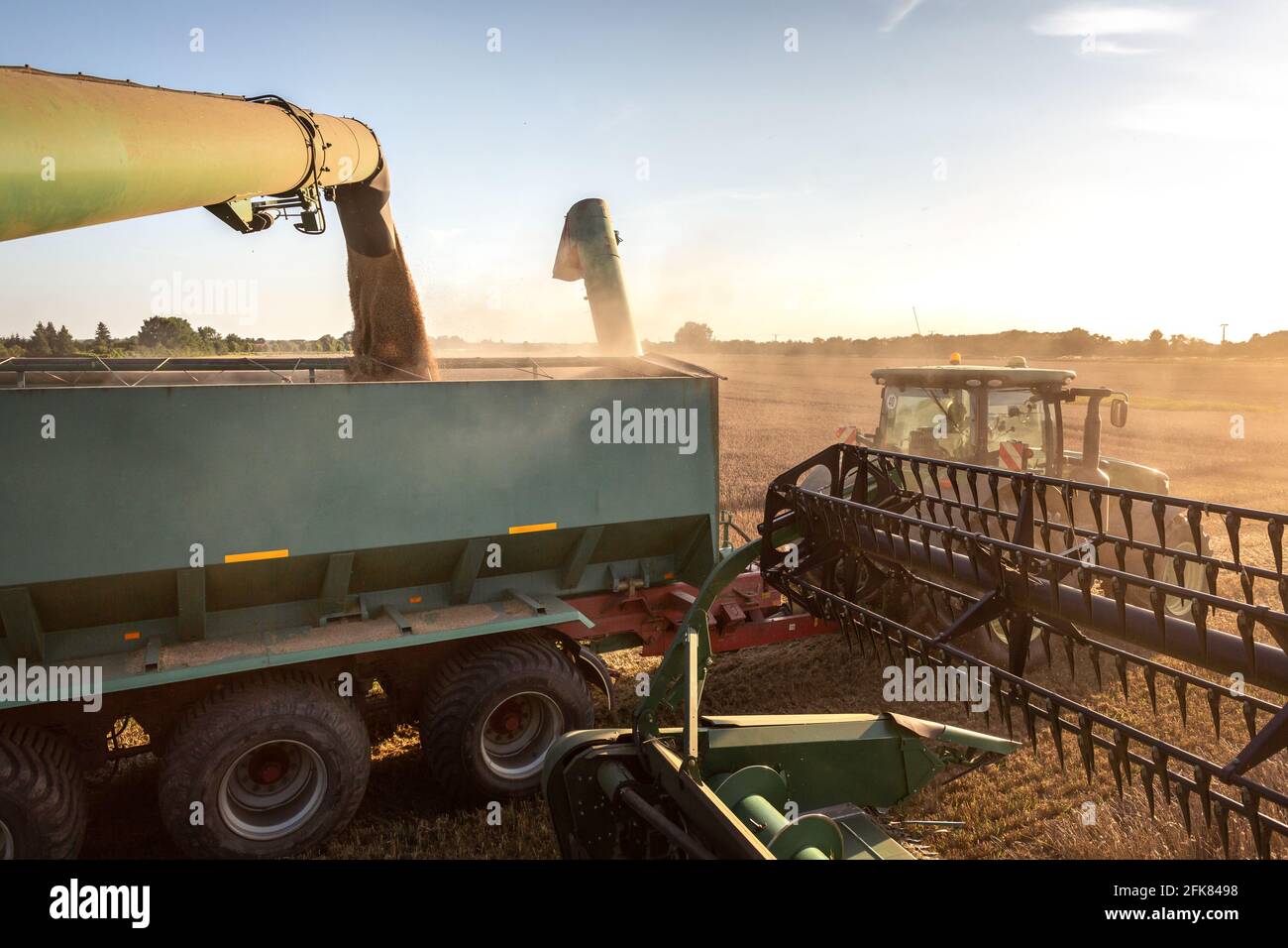Mähdrescher beim Entladen von Weizen in einen Getreidewagen Stockfoto