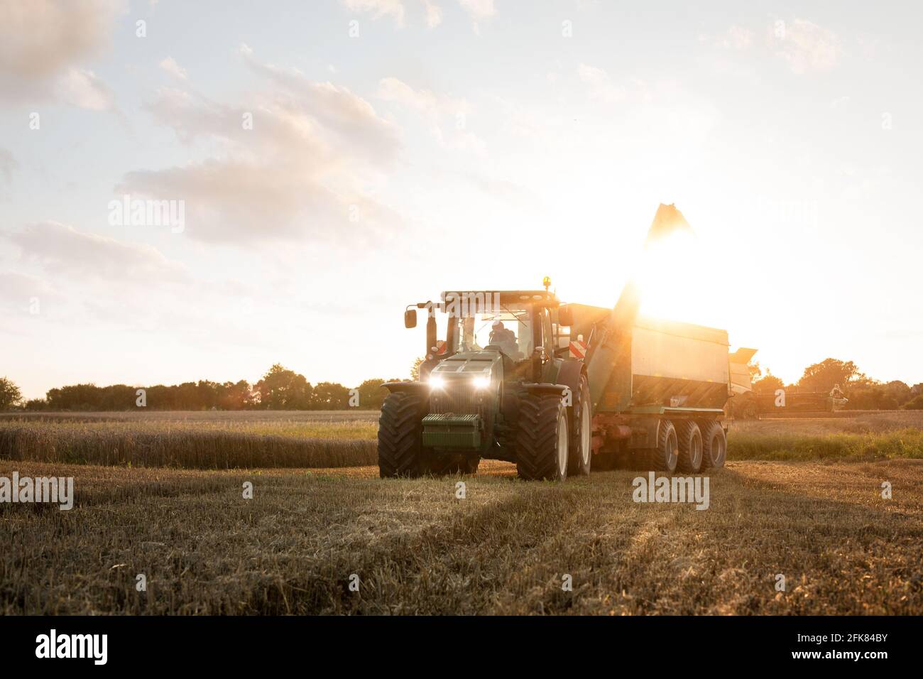 Traktor mit Getreidewagen auf einem Feld in der Dämmerung Stockfoto