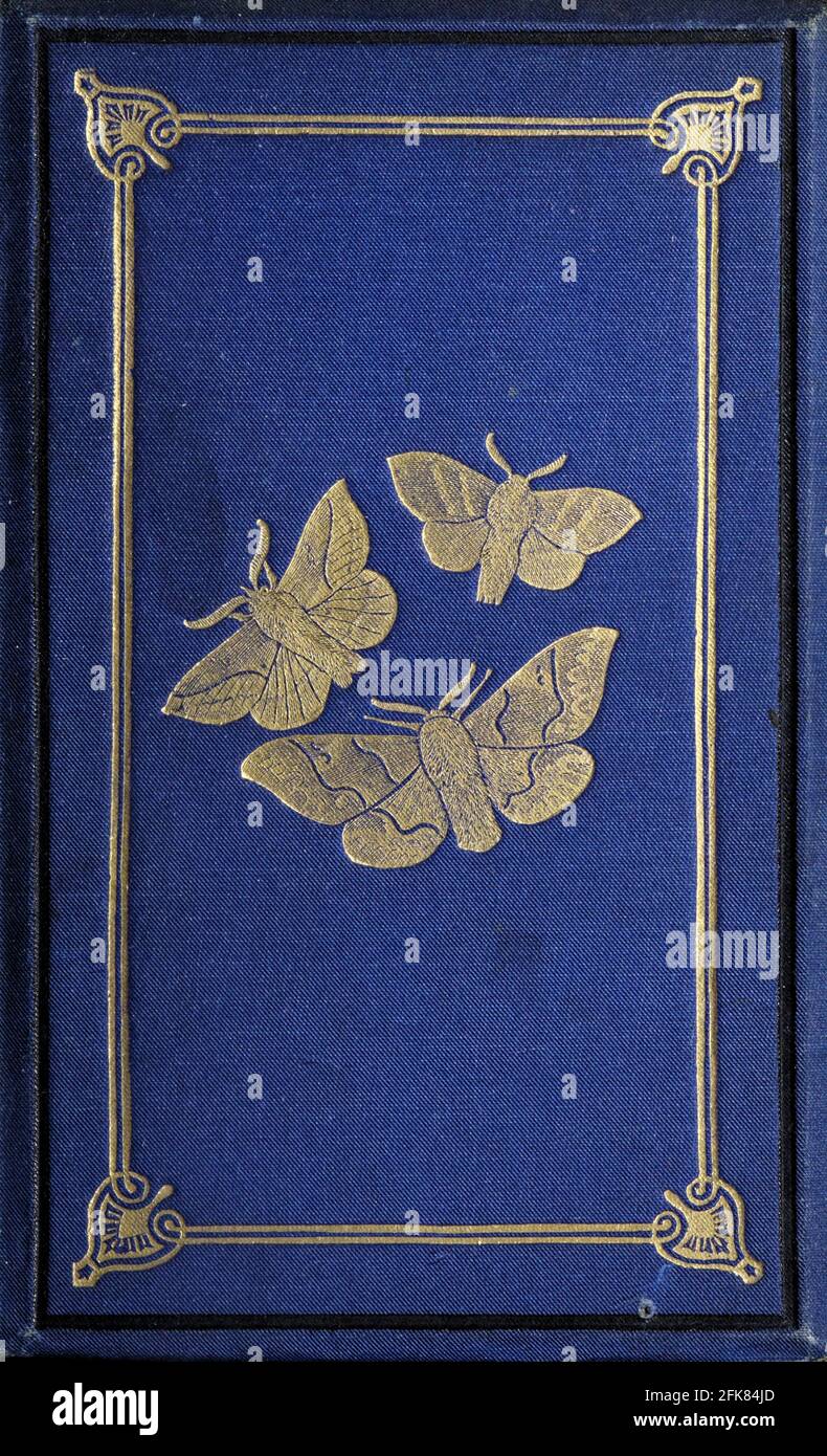 Titelblatt aus dem Buch "The common moths of England" von Wood, J. G. (John George), 1827-1889 Erscheinungsdatum 1878 in London : von G. Routledge and Sons Stockfoto