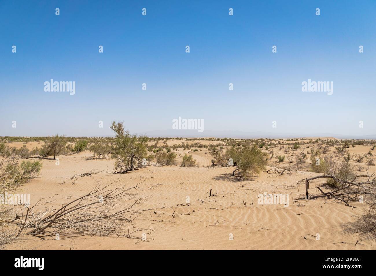 Wüste / Sanddüne Landschaftsansicht bei Yazd im Iran - Wüstenbildung, Klimawandel, Umweltkonzept Bild Stockfoto