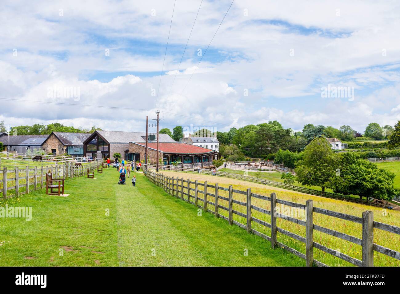 Das Donkey Sanctuary in der Nähe von Sidmouth, Devon in South Coast West Country, England, einer beliebten Touristenattraktion Stockfoto