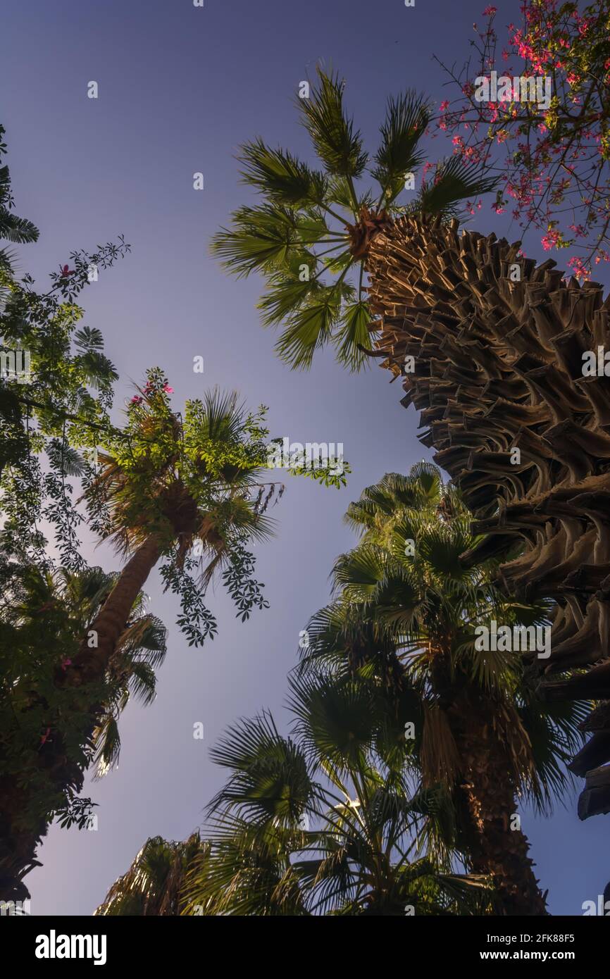 Blick auf das Nilufer in Kairo Stockfoto