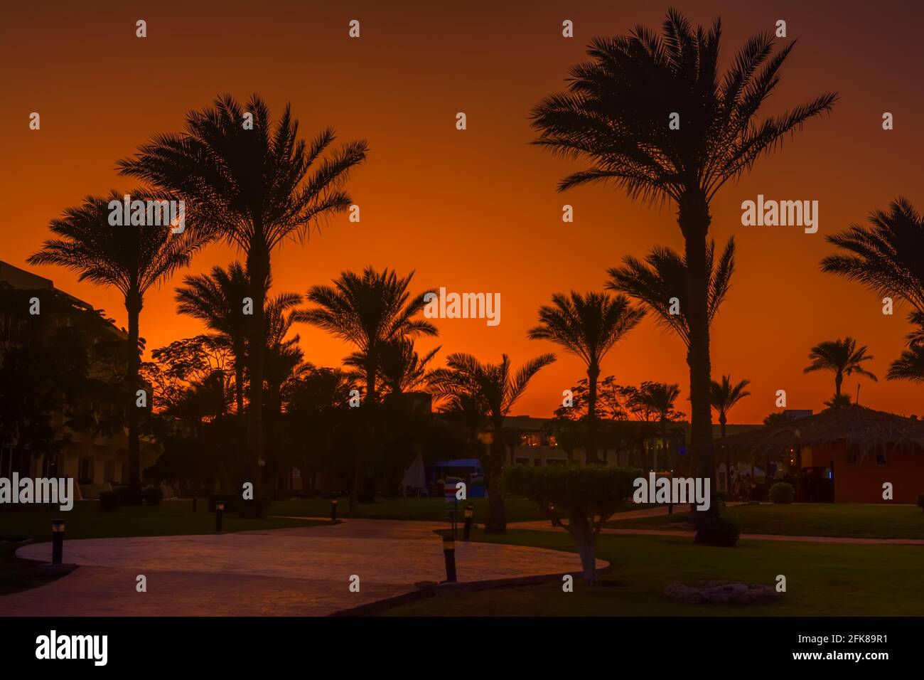 Sonniges Ägypten, Entspannung am Sand des Roten Meeres, wundervolle Sonnenaufgänge und berührende Sonnenuntergänge in Sharm El-Sheikh Stockfoto