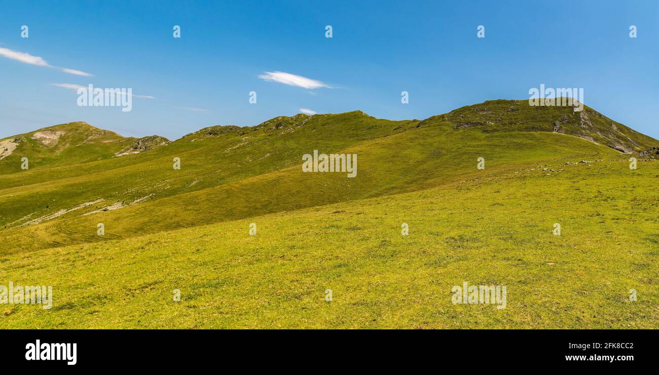 Der höchste Teil des Valcan-Gebirges in Rumänien - Oslea Kamm bedeckt von Wiesen mit wenigen roskischen Formationen Stockfoto