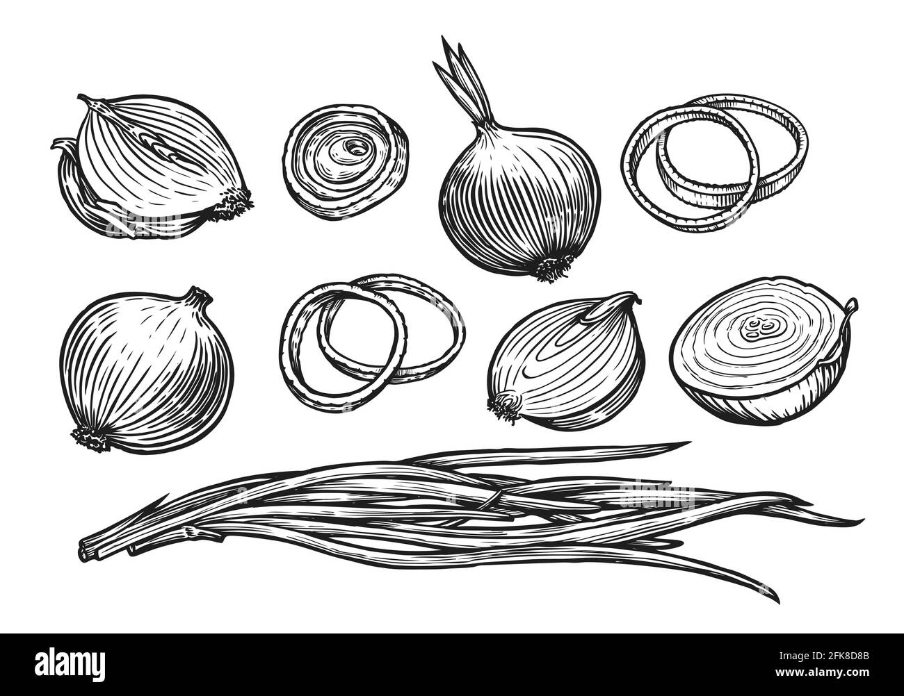 Zwiebelbirne und Ringe. Skizzenvektor für frisches Gemüse Stock Vektor