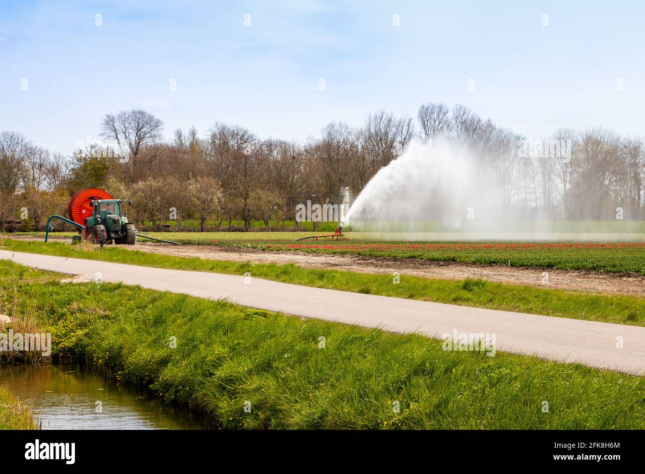 Schöne Tulpenfelder mit bunten Tulpen auf dem Ackerland in der Landschaft von Nordholland, den Niederlanden Stockfoto