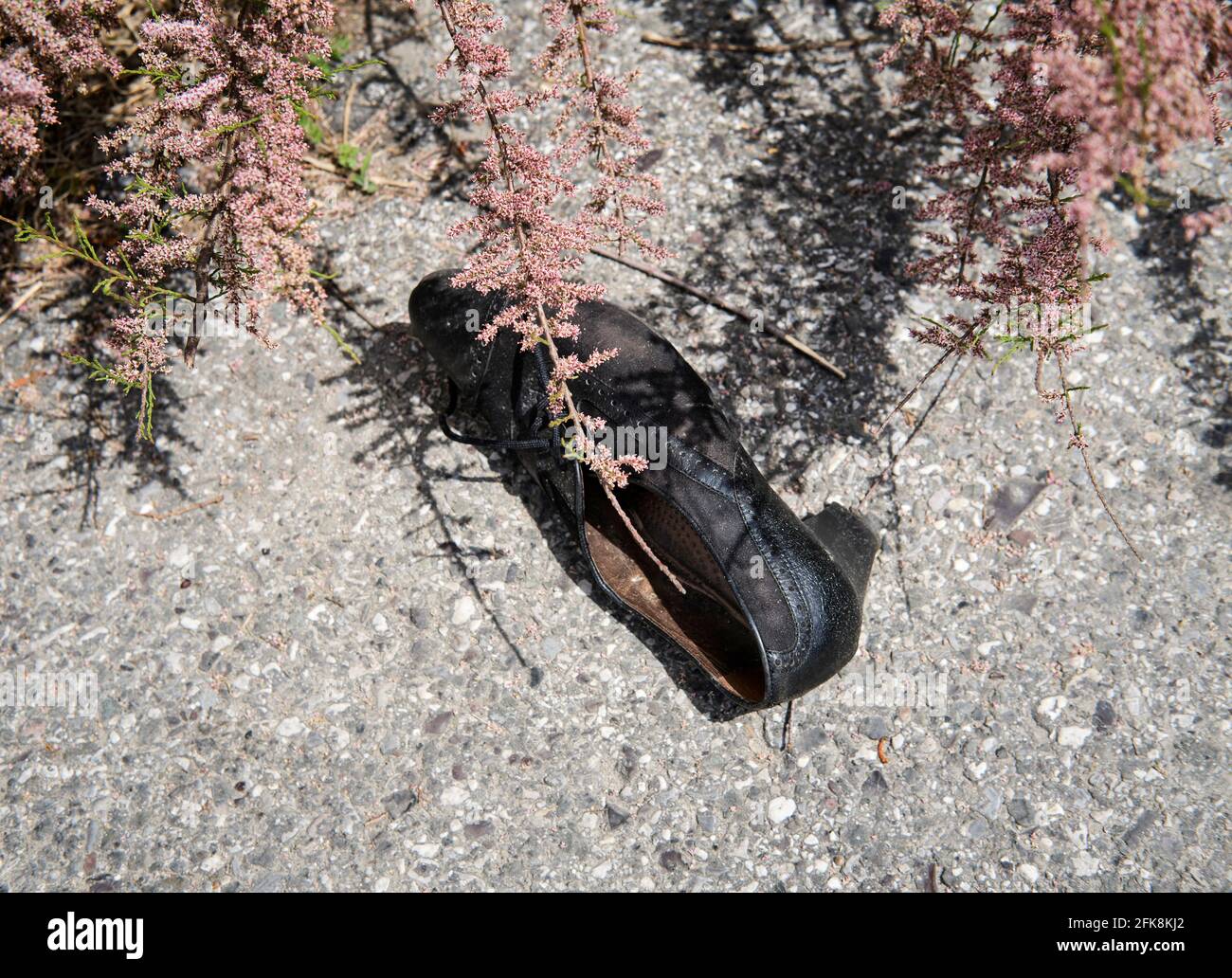 Femininer schwarzer Schuh, der in Italien auf dem Bürgersteig aufgegeben wurde Stockfoto