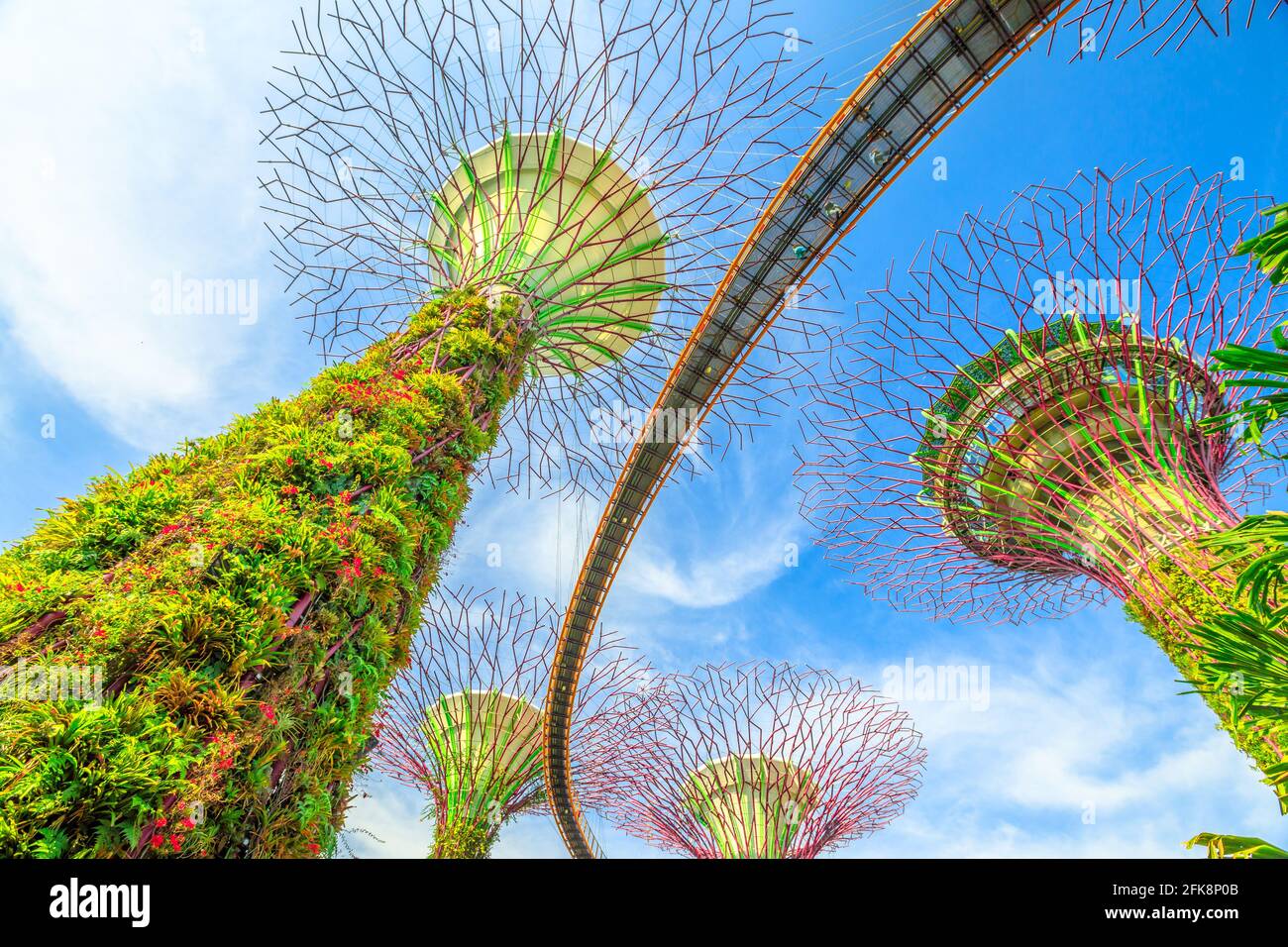 Singapur - 29. April 2018: Blick von unten auf Supertree Grove mit Skybridge bei Gardens by the Bay an einem schönen sonnigen Tag mit blauem Himmel. Berühmter Tourist Stockfoto