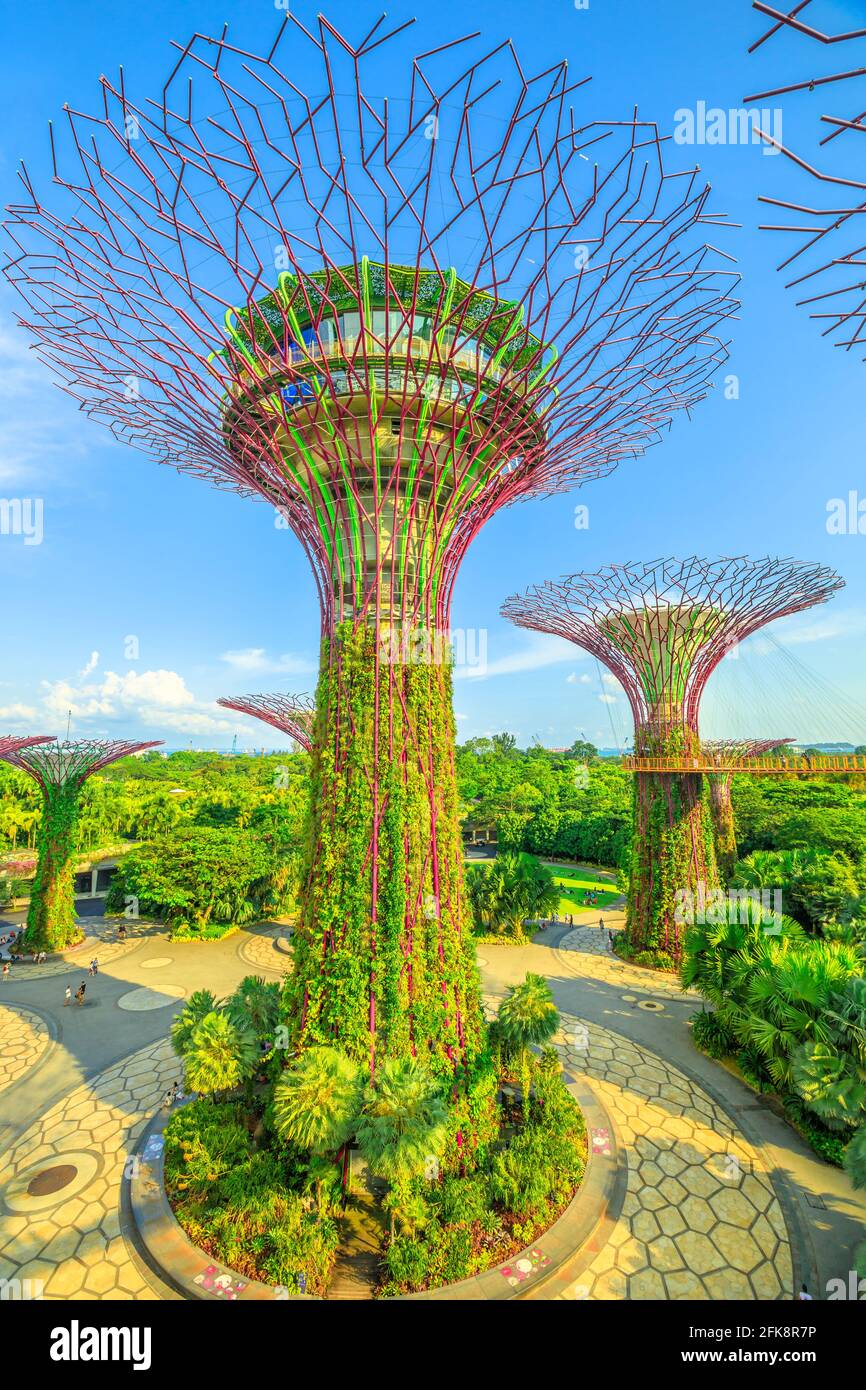 Singapur - 29. April 2018: Luftaufnahme von Supertree Grove mit Skybridge bei Gardens by the Bay an einem sonnigen Tag mit blauem Himmel. Berühmter Tourist Stockfoto