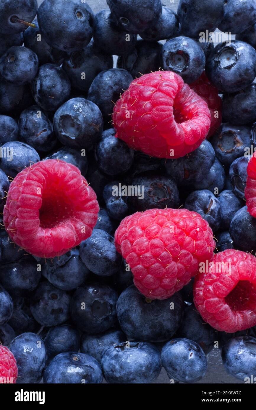 Nahaufnahme von Blaubeeren und Himbeeren; Sommerbeeren Stockfoto