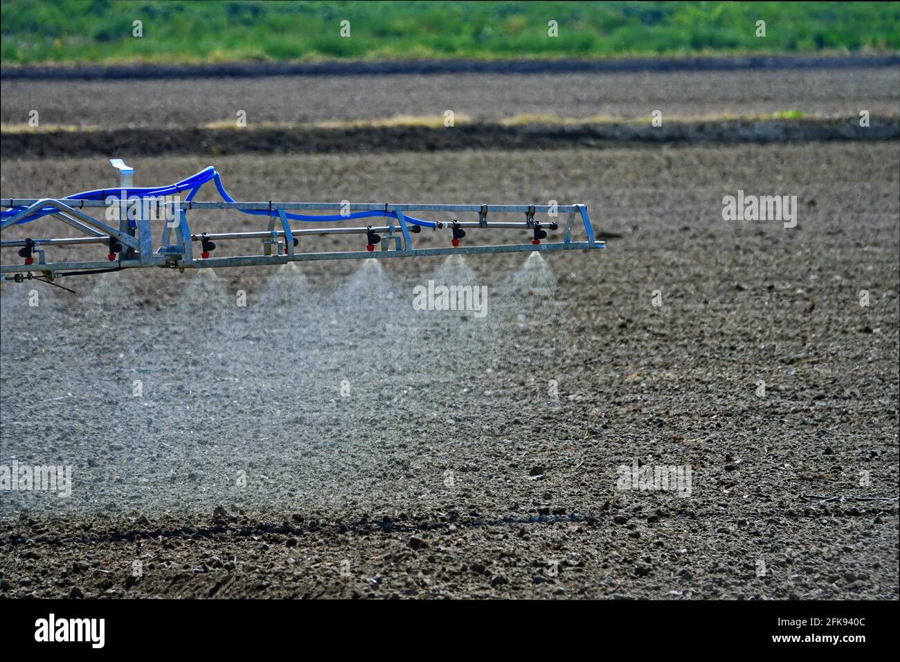 Traktor sprüht Weizenfeld mit Sprüher, Herbiziden und Pestiziden. Frühfrühling von Pestiziden sprühen. Chemische Behandlung in der Landwirtschaft. Stockfoto