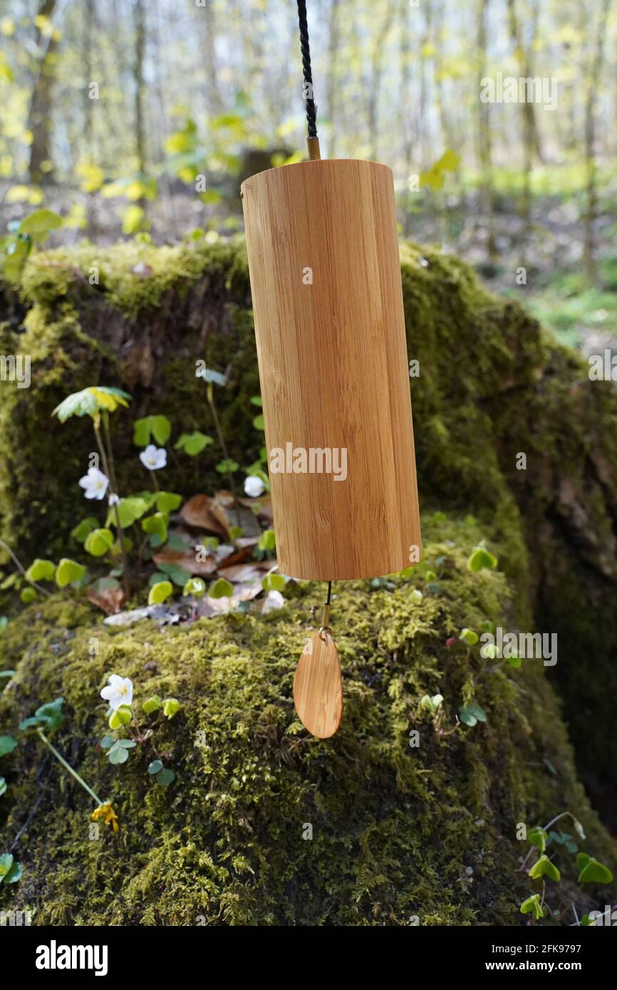 Der Koshi-Wind läutschelt draußen im Wald für Klangtherapie, Yoga und Meditation, entspannen Stockfoto