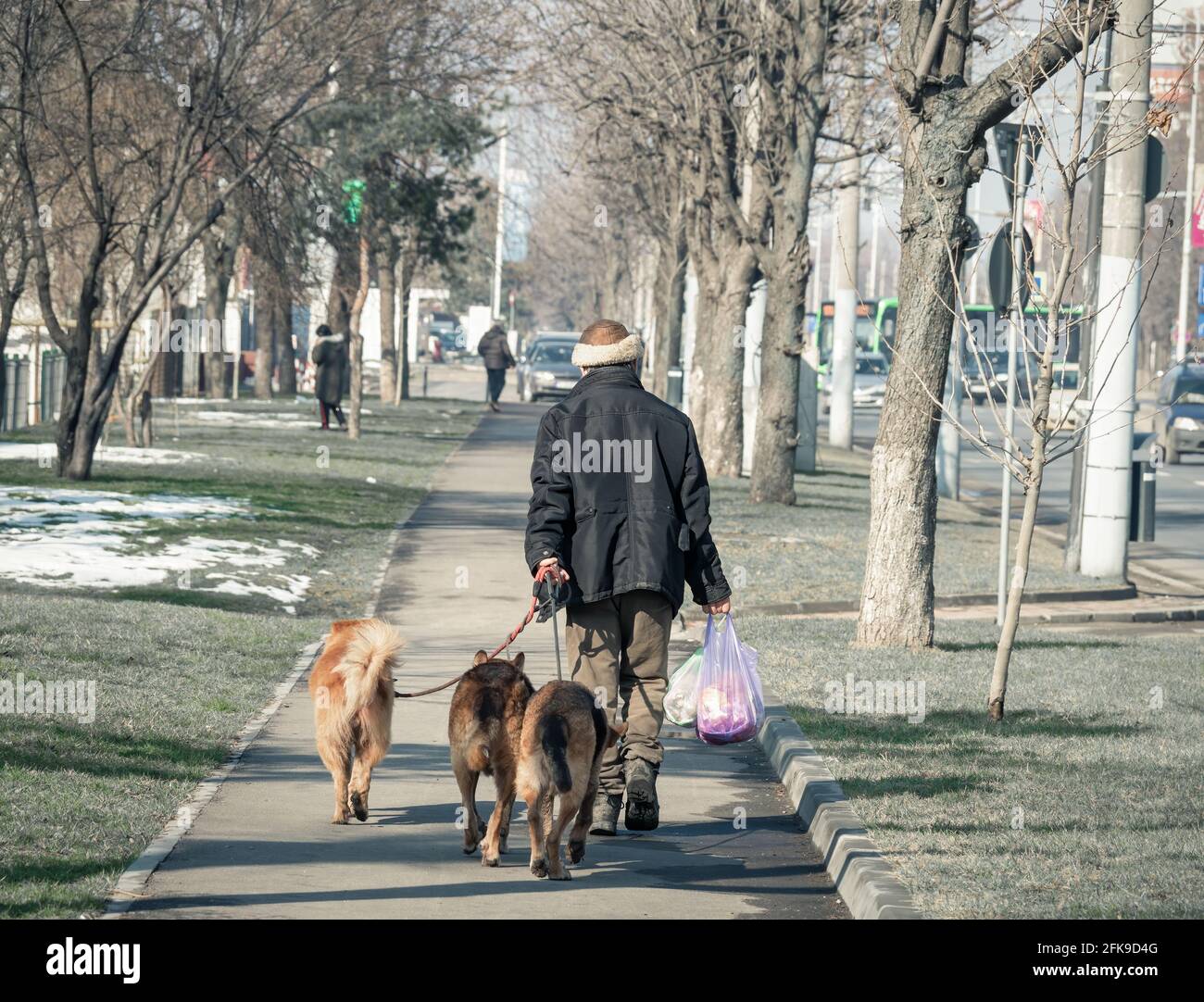 Obdachloser Mann mit drei streunenden Hunden und Taschen mit Lebensmitteln auf dem Bürgersteig, in Bukarest Rumänien Stockfoto