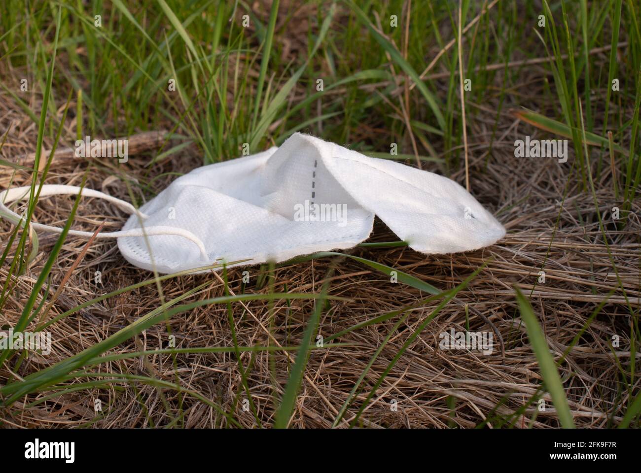 Weggeworfenes FFP2 Maske, liegt am Straßenrand im Gras Stockfoto