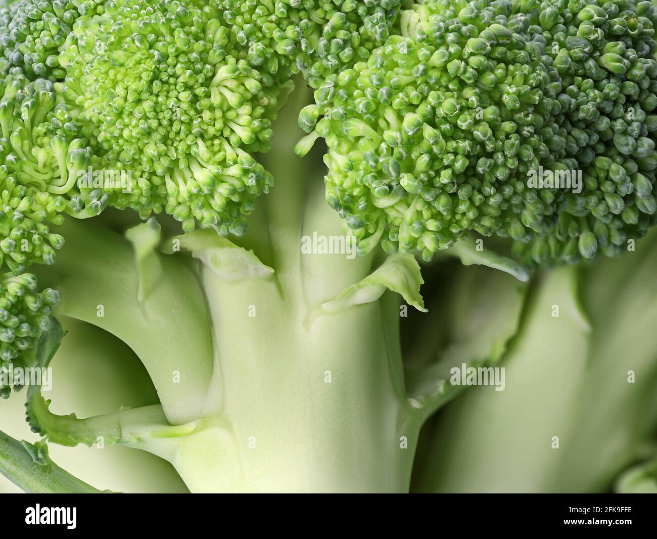 Grüner frischer roher Brokkoli Hintergrund, Nahaufnahme Stockfoto