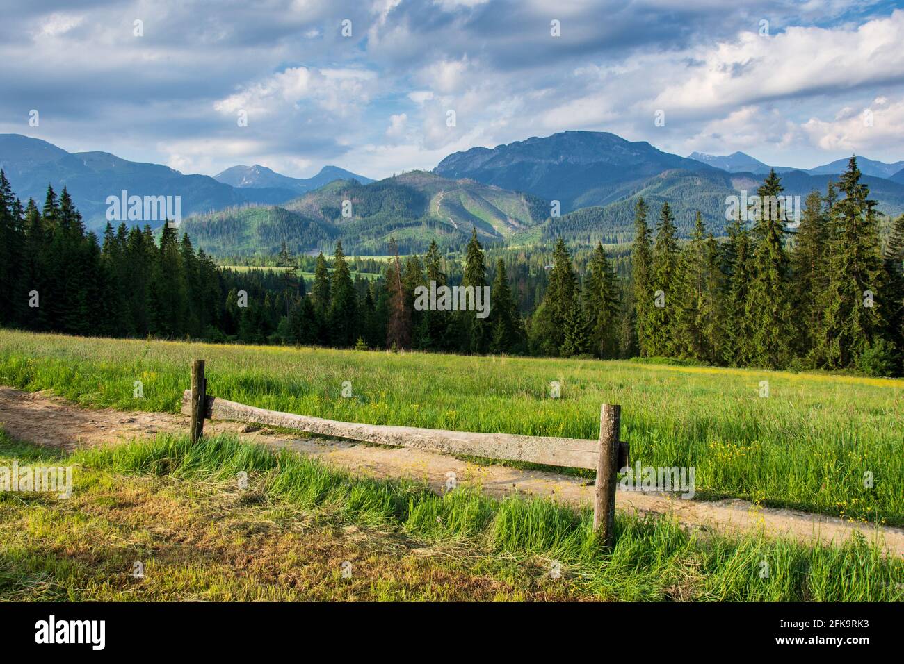 Blick auf die westliche Tatra von der Lichtung in Płazówka Im Sommer Stockfoto