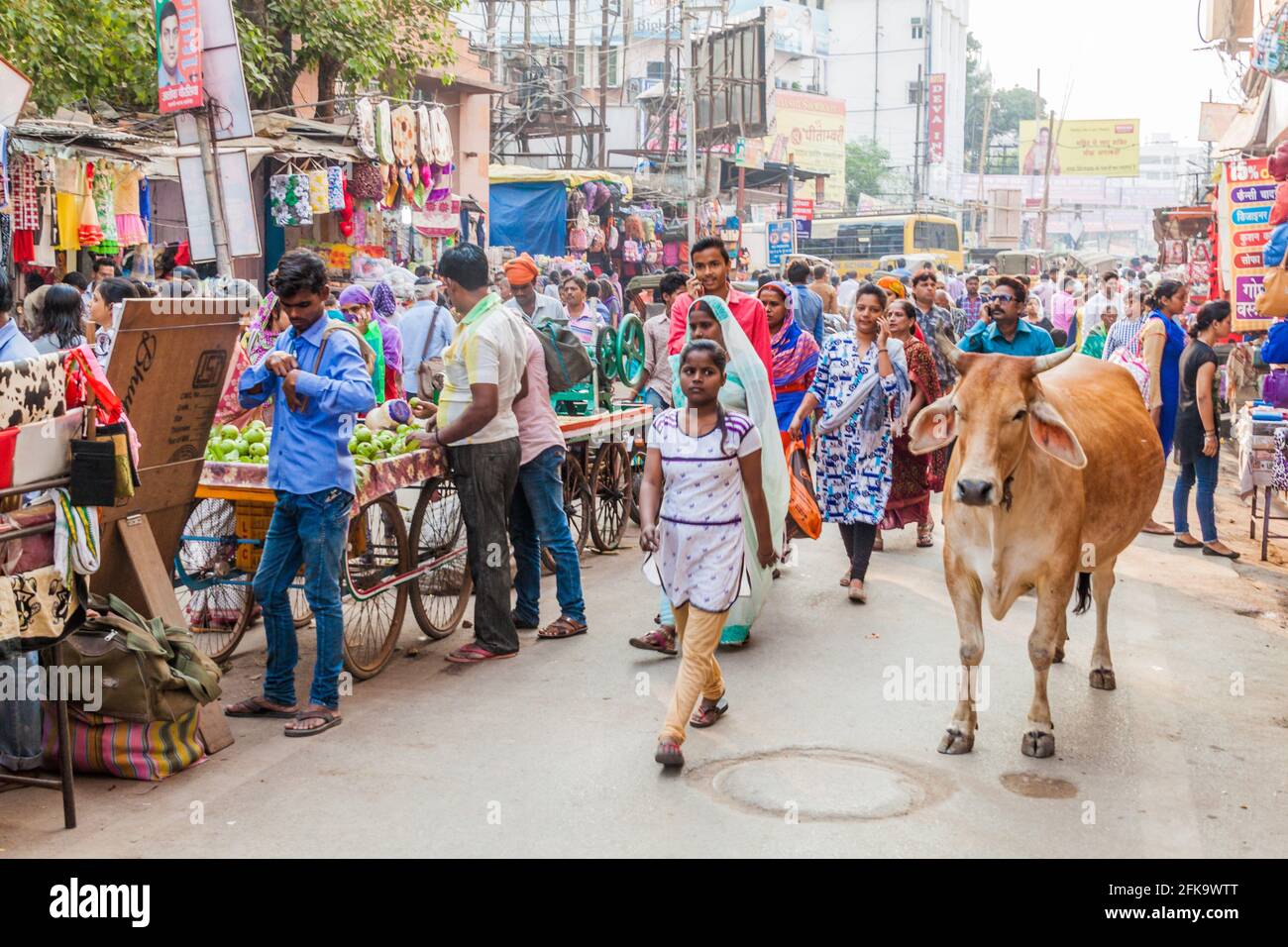 VARANASI, INDIEN - 25. OKTOBER 2016: Strassenverkehr mit einer Kuh in Varanasi, Indien Stockfoto