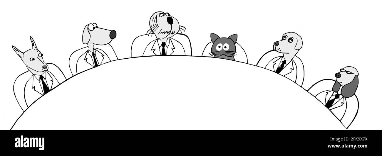 Katze ist überwältigt von der Anwesenheit von Hunden in der Wirtschaft Besprechung Stockfoto