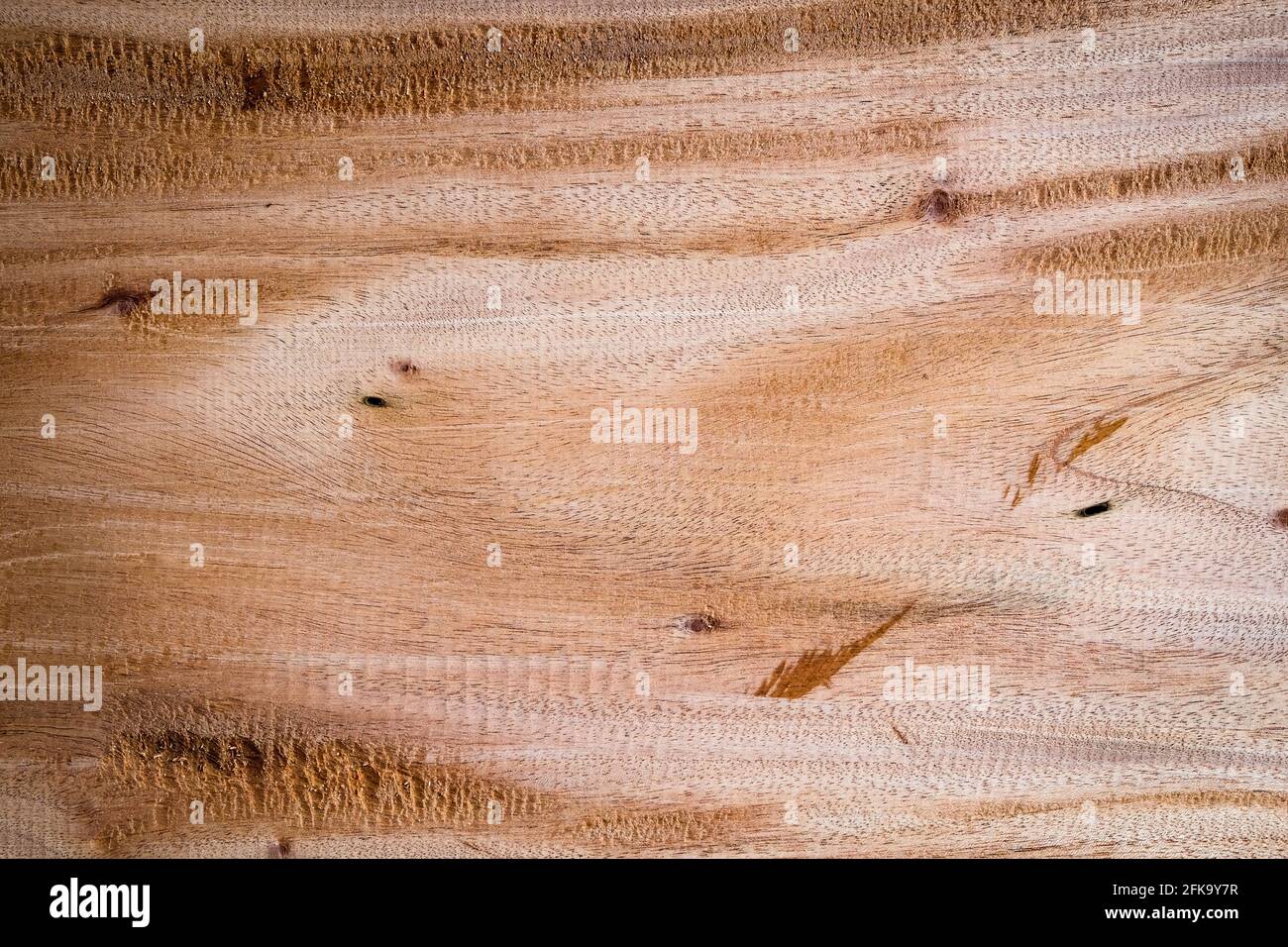 Nahaufnahme große Hartholz-Planke mit Detail, Textur und Muster der Haut Holz Natur Hintergrund Stockfoto